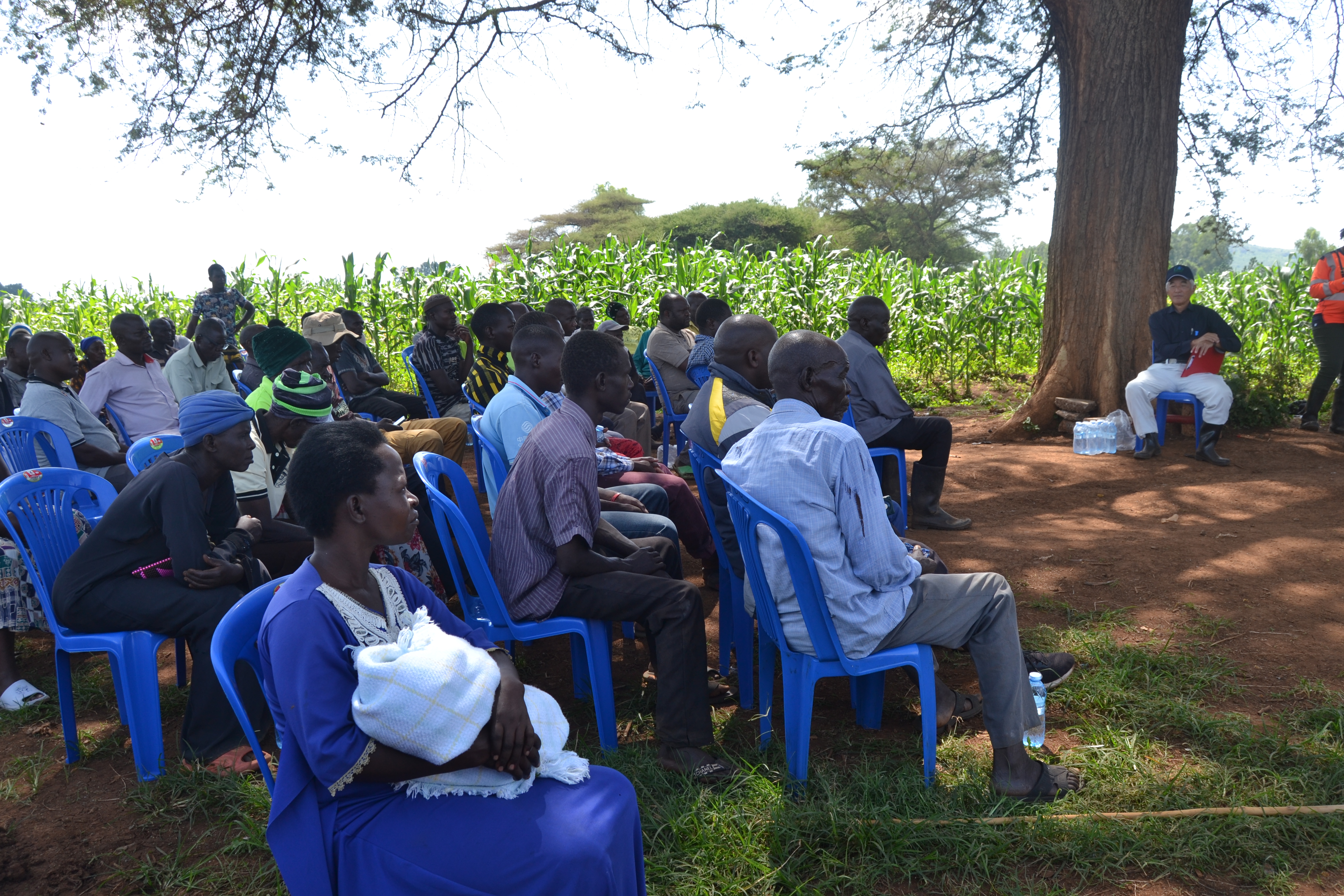 Gender Mainstreaming
