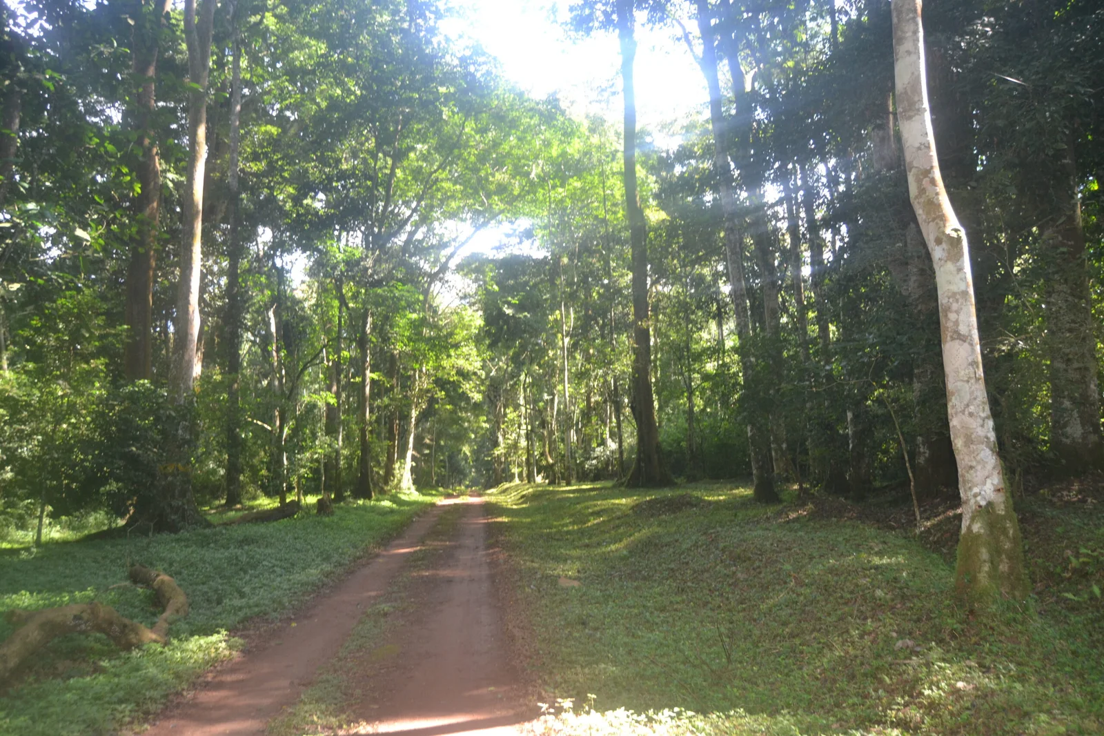 Environmental Assessment for Ecotourism Infrastructure at Budongo CFR, USAID B4R
