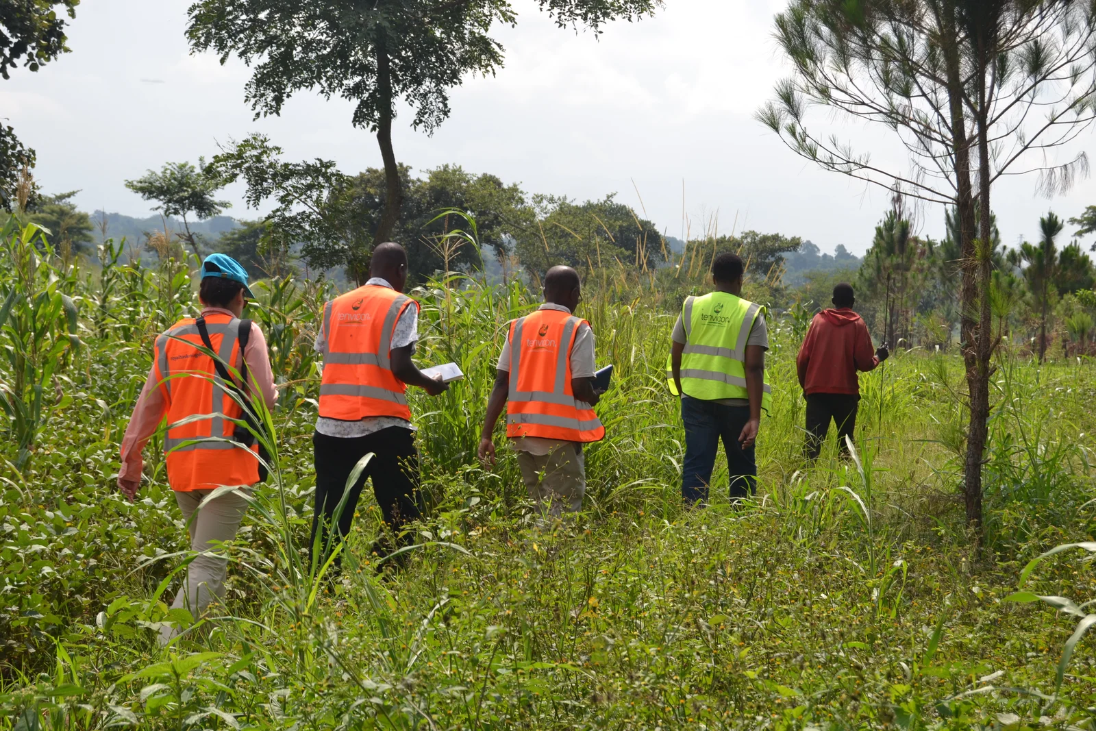 Environmental and Social Due Diligence for Green Hydrogen Fertilizer Project in Uganda
