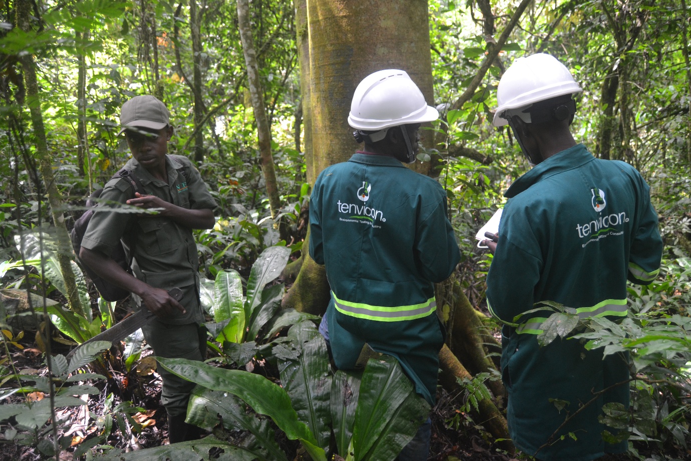 Tenvicon team carrying out an environmental assessment in the forest